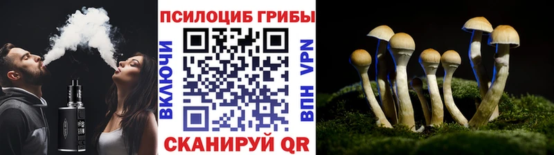 Купить закладки  Пролетарск  Галлюциногенные грибы Magic Shrooms 